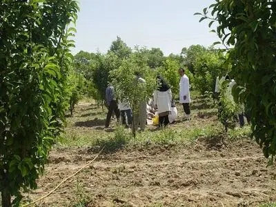 ابلاغ طرح کارورزی دانش آموختگان دانشگاهی