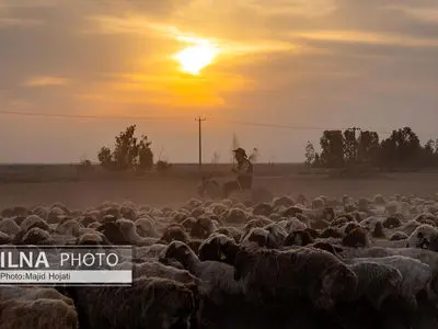 مزرعه دامپروری چپرقویمه، در مسیر محرومیت زدایی