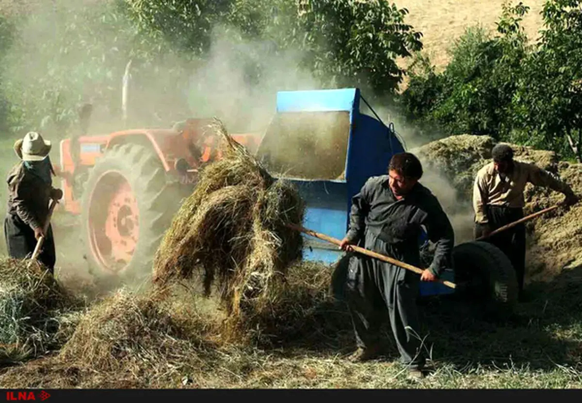 مرگ یک کارگر گاوداری در دستگاه خرمن کوب