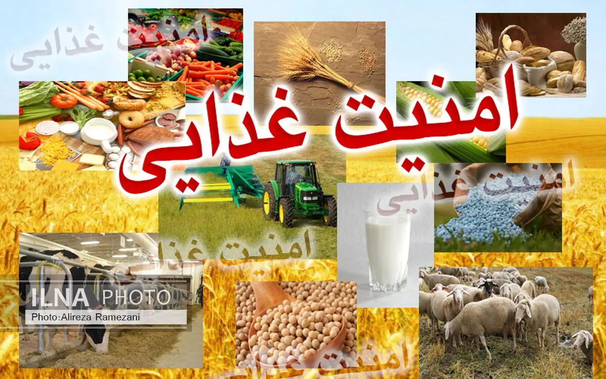 امنیت غذایی کشور تنها با فرهنگ و مدیریت جهادی محقق می‌شود