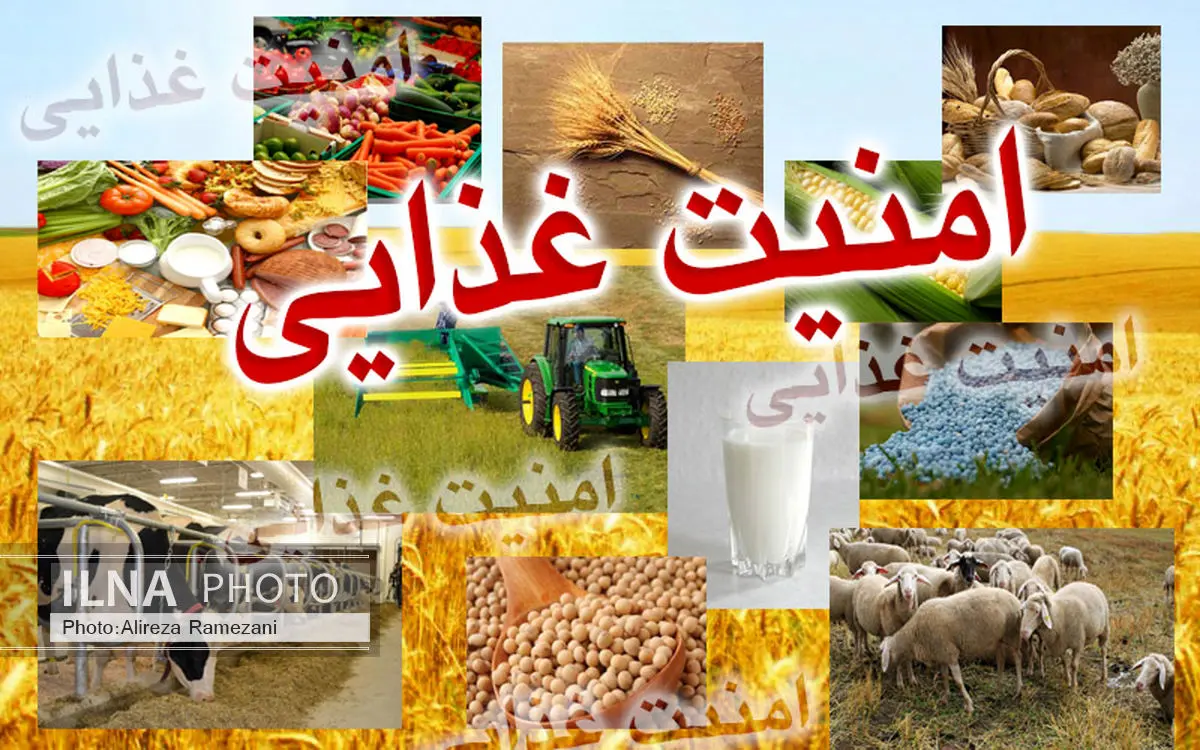 امنیت غذایی کشور تنها با فرهنگ و مدیریت جهادی محقق میشود