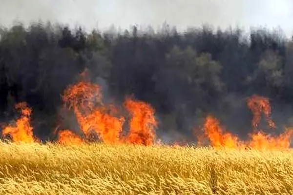 آتش‌سوزی های مزارع ایذه پای دادستان را به موضوع کشاند