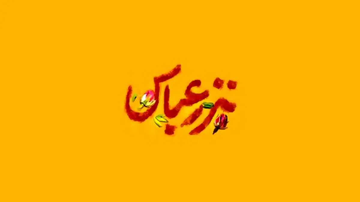 روایت ویژه مادر شهید مصطفی صدرزاده برای رهبر انقلاب از شهادت فرزندش در ظهر تاسوعا + فیلم