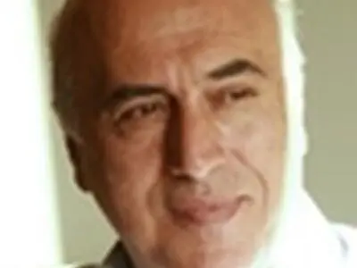 منتقدان حرفه‌ای انگشت شمارند