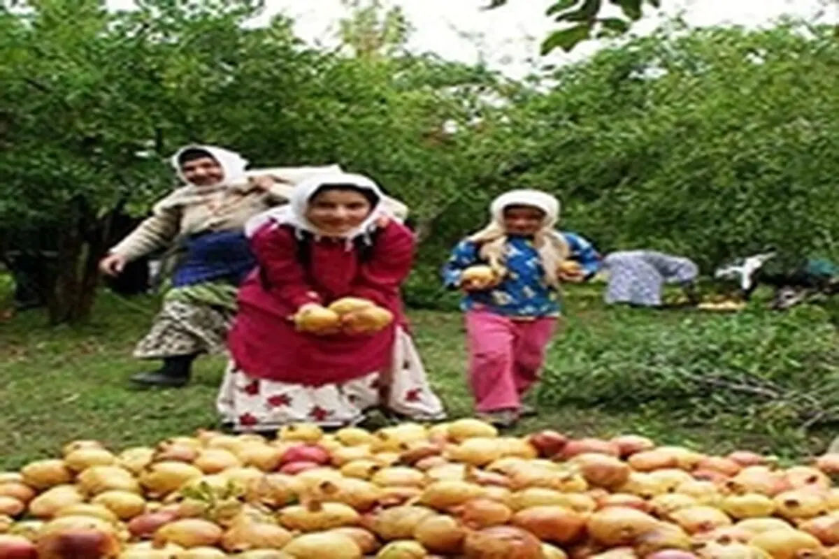 برگزاری کارگاه آموزشی زنان کارآفرین روستایی در استان کرمانشاه