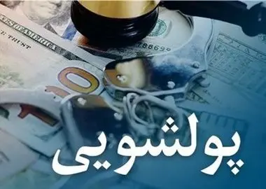 کشف ٣١٠ میلیارد ریال فرار مالیاتی اتباع غیرایرانی 