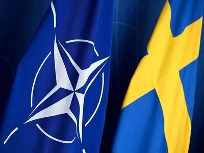 We will not send forces to Ukraine: Swedish Defense Minister