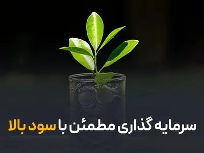 سرمایه گذاری مطمئن با سود بالا؛ چطوری کم ریسک و پرسود سرمایه گذاری کنیم؟