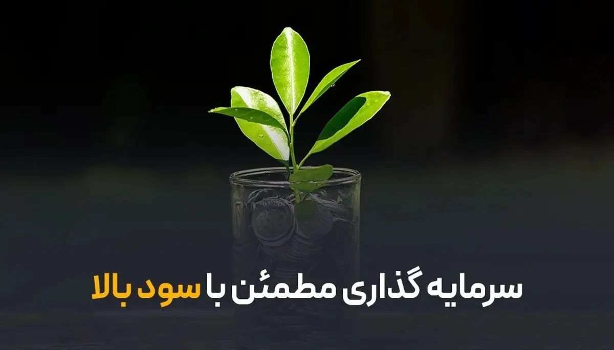 سرمایه گذاری مطمئن با سود بالا؛ چطوری کم ریسک و پرسود سرمایه گذاری کنیم؟