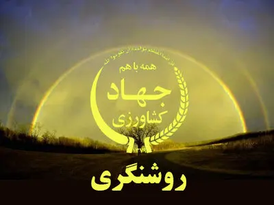 ۷۰ درصد مطالبات چایکاران تاکنون پرداخت شده است