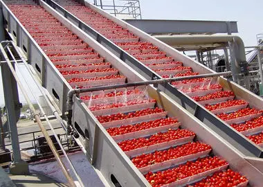 همدان؛ قطب صنایع تبدیلی کشاورزی کشور