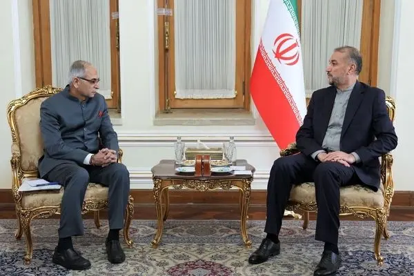 Iran FM underlines developing ties with India