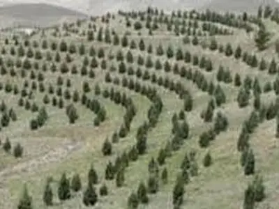احداث ۱۰۳ کیلومتر کمربند حفاظتی در اراضی ملی استان سمنان