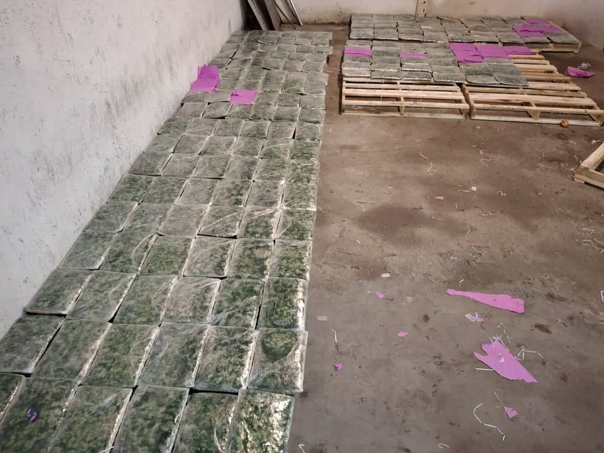 کشف ۱۲۹ کیلوگرم ماده مخدر گل توسط مأموران گمرک در مرز آستارا