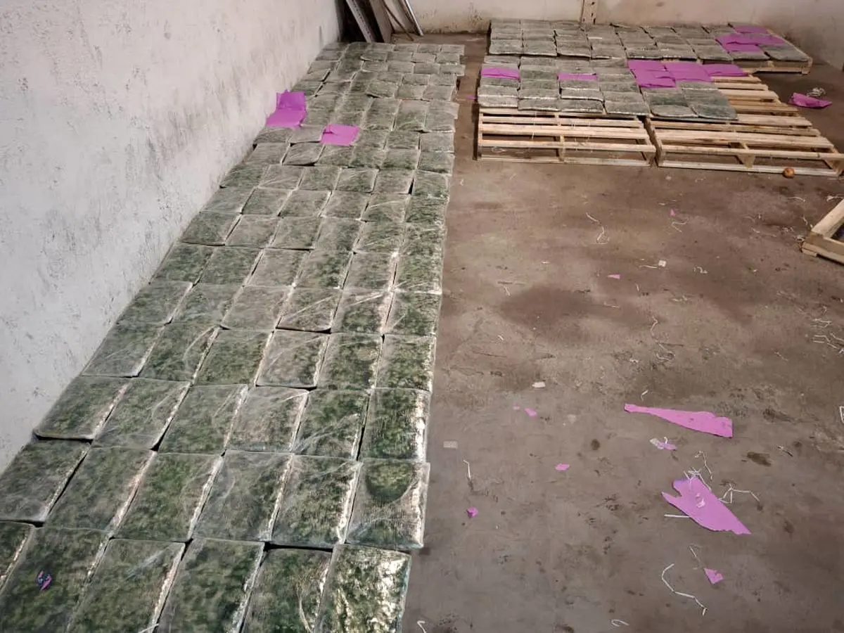 کشف ۱۲۹ کیلوگرم ماده مخدر گل توسط مأموران گمرک در مرز آستارا