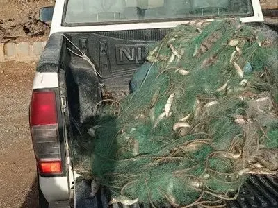 دستگیری ۴ صیاد متخلف در مرودشت / کشف ۳۲۰ قطعه ماهی و توقیف سلاح شکاری