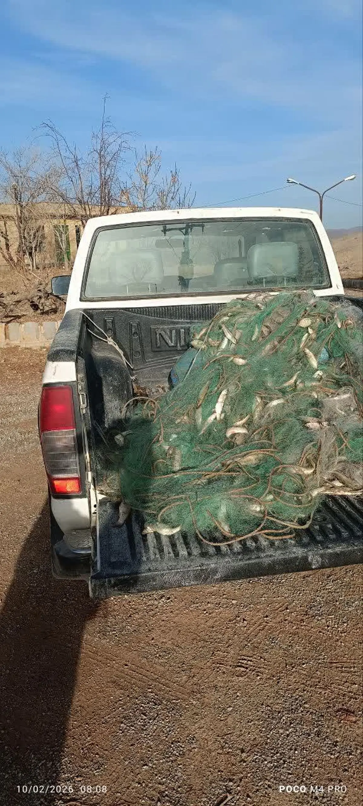 دستگیری ۴ صیاد متخلف در مرودشت / کشف ۳۲۰ قطعه ماهی و توقیف سلاح شکاری