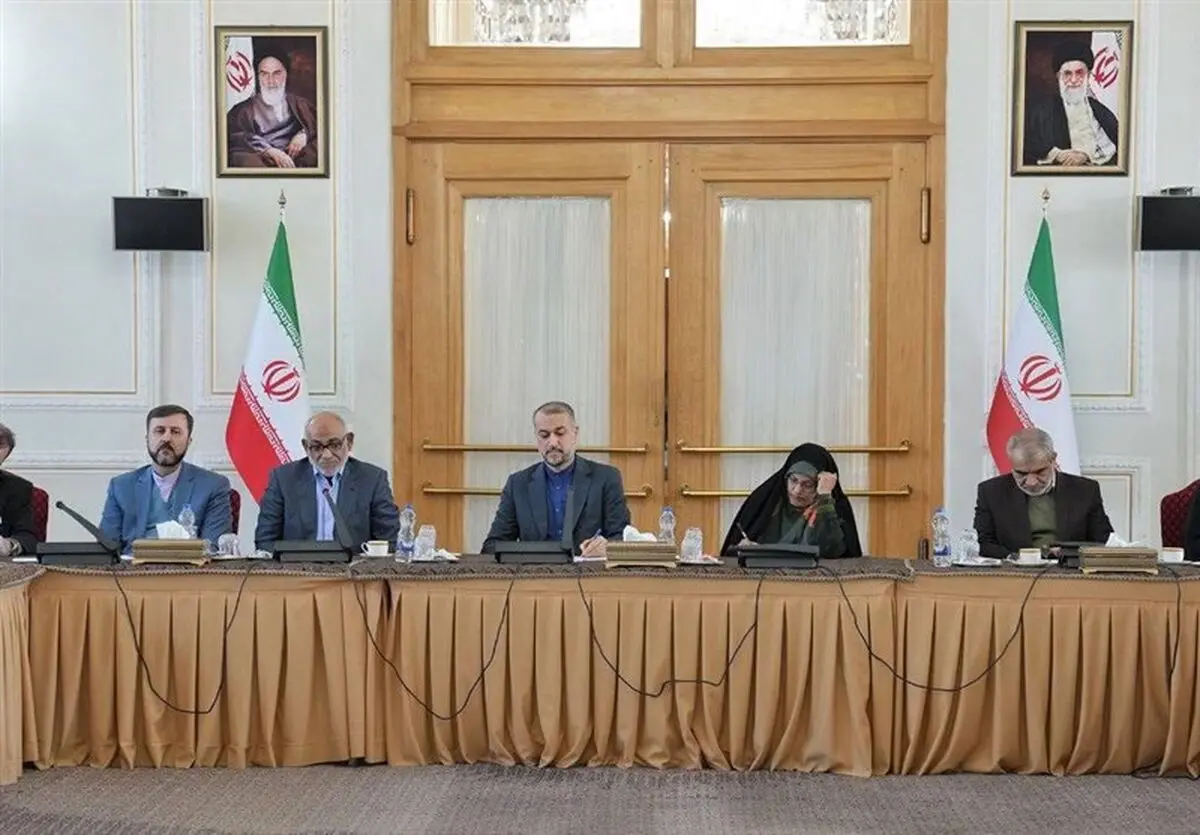  Western Notion of Human Rights in Iran Lacks Credibility: FM
