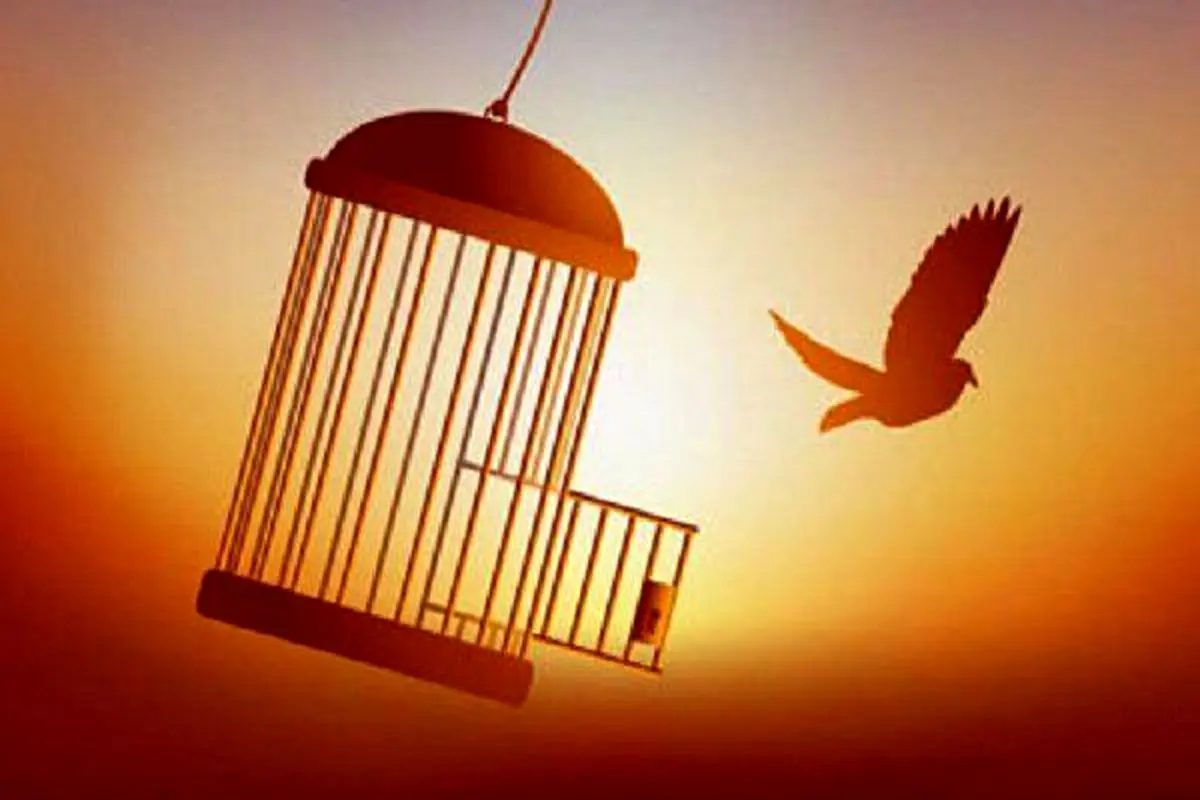 آزادی ۶۵ زندانی جرایم غیرعمد یزدی در ۳ ماهه ابتدایی سال جاری