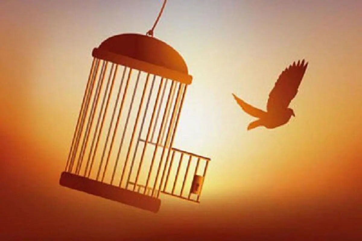 آزادی ۶۵ زندانی جرایم غیرعمد یزدی در ۳ ماهه ابتدایی سال جاری 
