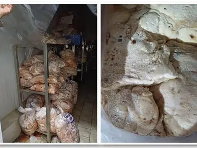 معدوم‌سازی ۴۰۰ کیلوگرم کله و پاچه به دلیل شرایط غیر بهداشتی در لرستان