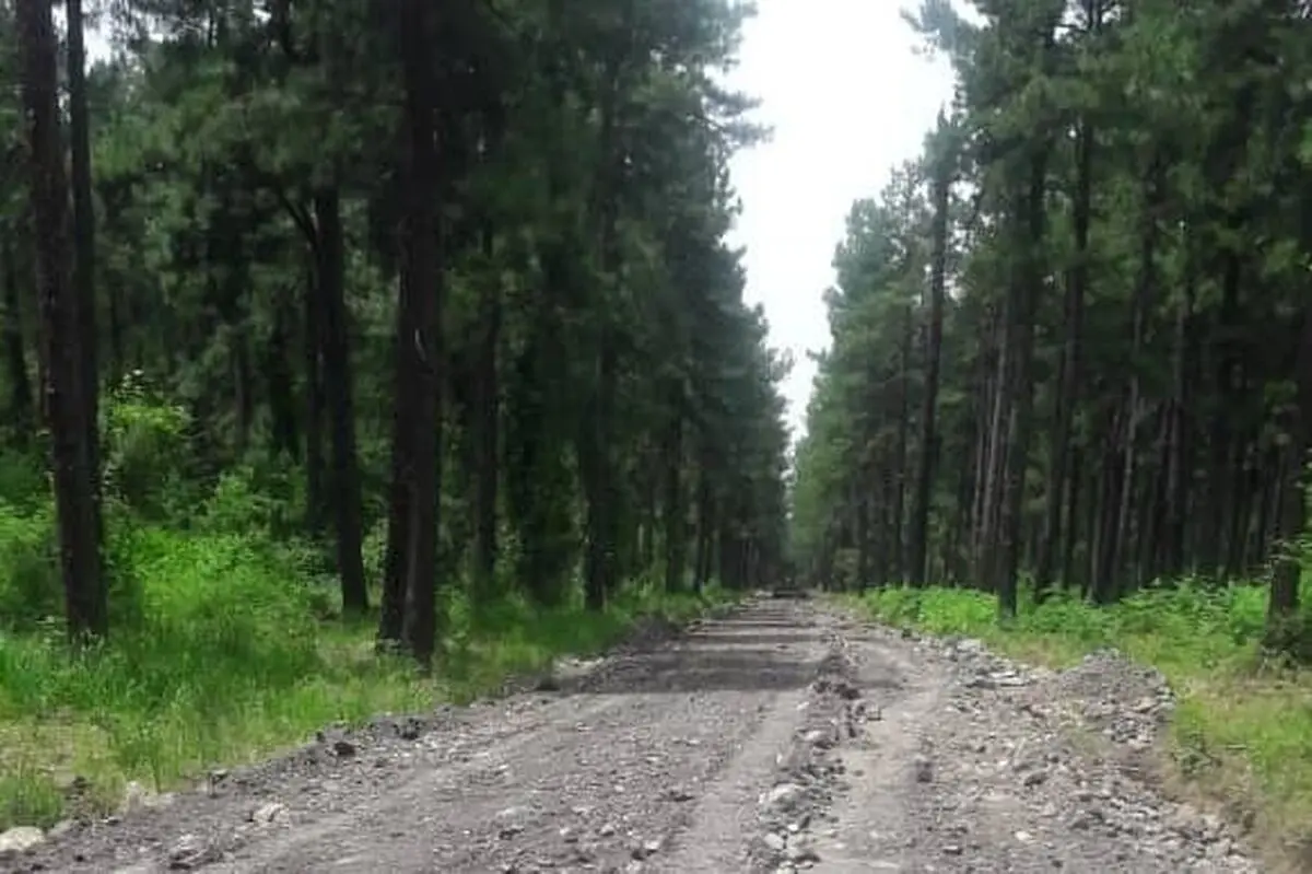 دستگاه قضایی پیگیر اجرای طرح پارک ۵۰۰ هکتاری لاکان رشت