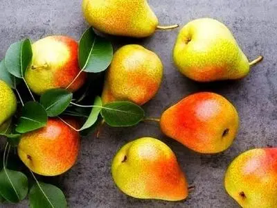 میوه و سبزیجاتی که نباید داخل آبمیوه گیری ریخت