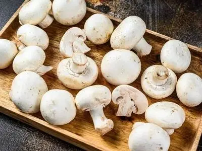  بعد از ۵۰ سالگی حتما هر روز قارچ بخورید