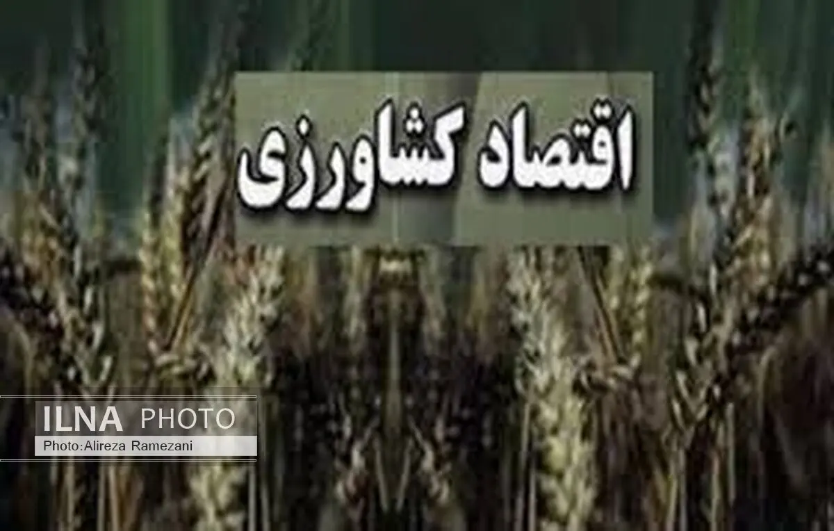 کمیته شکوفایی اقتصاد کشاورزی در بهشهر تشکیل شود