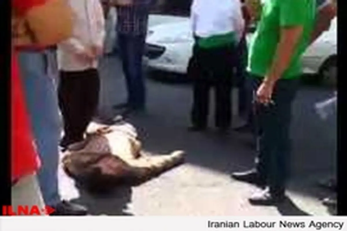 فیلم / لحظاتی پس از ضرب و شتم کارگر توسط ماموران منتسب به شهرداری
