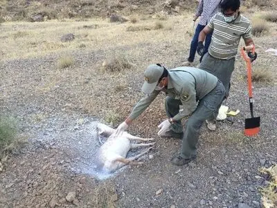 هیئت کوهنوردی البرز به کمک محیط‌بانان می‌رود