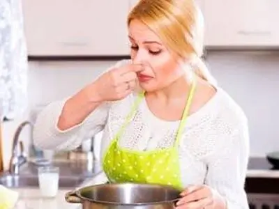 از بین بردن بوی دنبه و روغن حیوانی از غذا 