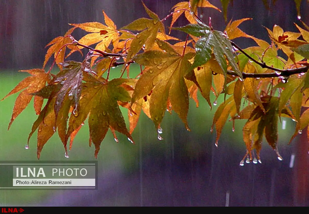 هوای ایران پاییزی خواهد شد/ احتمال بارش برف در ارتفاعات