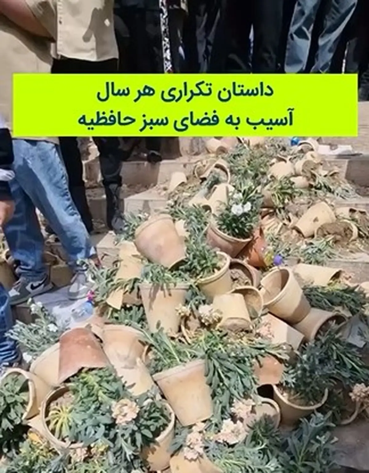داستان تلخ و تکراری هر سال در لحظه تحویل سال نو شیراز + فیلم