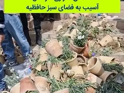 داستان تلخ و تکراری هر سال در لحظه تحویل سال نو شیراز + فیلم