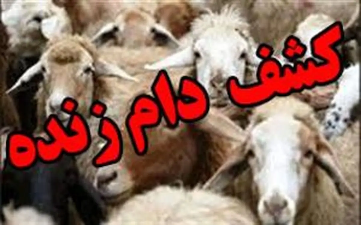 ۳۲۷ راس دام توسط مرزبانان ارومیه توقیف شد