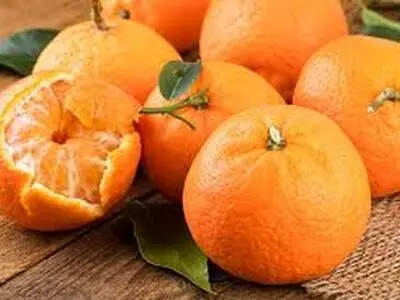 ترفند خانگی برای داشتن موهایی سالم و خوشرنگ با نارنگی های خوشمزه