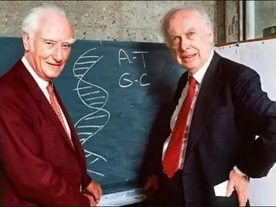 فرانسیس کریک؛ دانشمندی که ساختار DNA را کشف کرد 