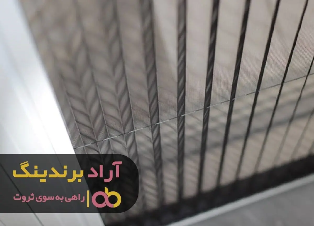با این توری به شکار رفتم و ثروت را به دام انداختم!