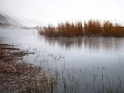 عدم  تامین حقابه زیست محیطی تالابها را تهدید می کند/ شناسایی 75 گونه آبزی و کنار آبزی در زیستگاههای آبی البرز