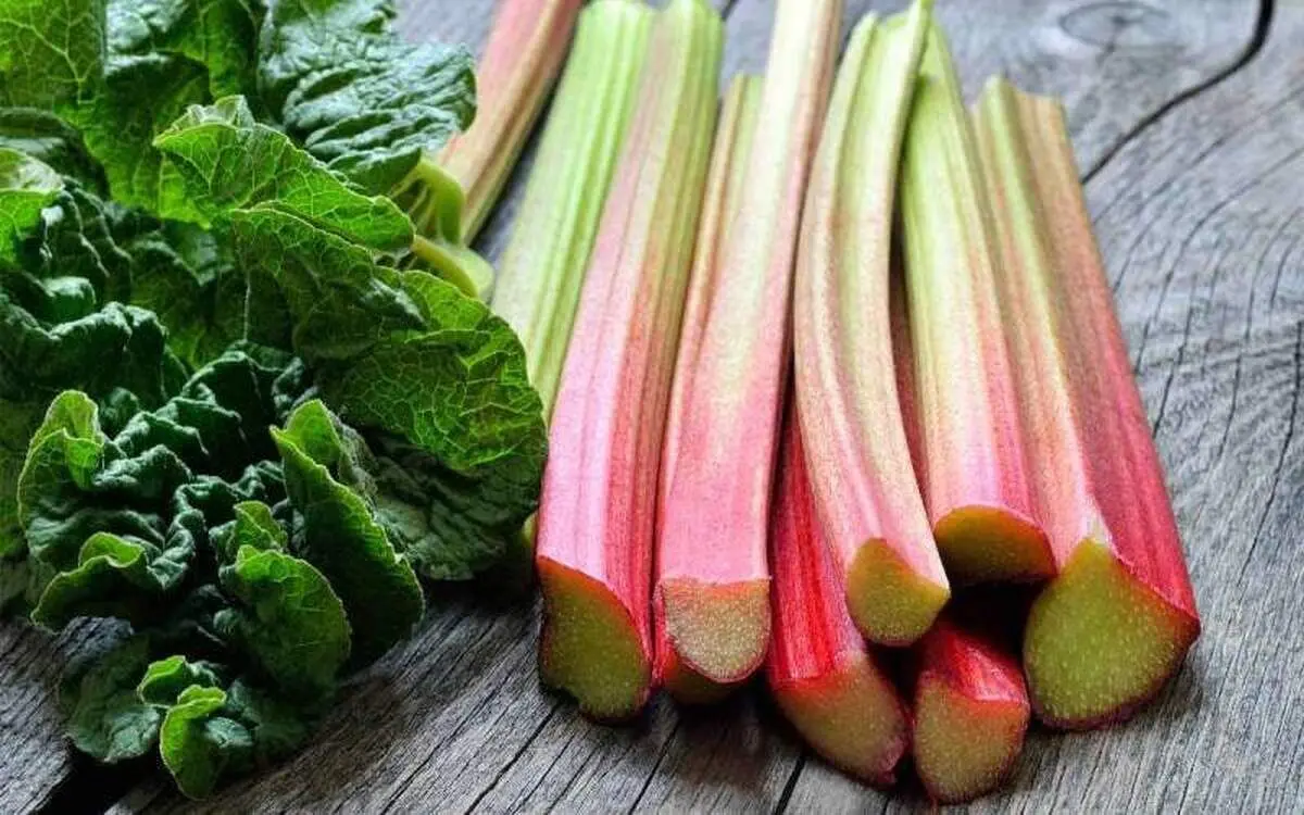 خواص ریواس برای کبد چرب