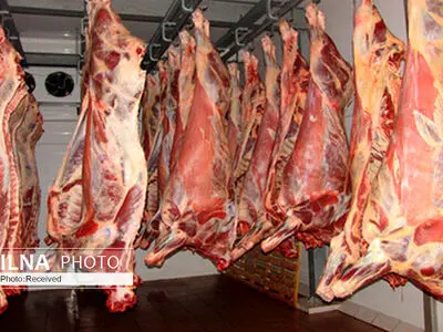 برخورد تعزیراتی با نگهداری ۲تن گوشت در شرایط غیراستاندارد در یک هتل ۵ ستاره