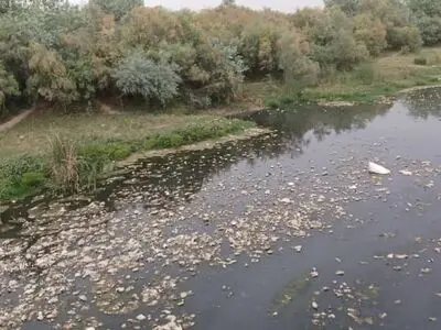 از نماد شادابی تا تهدید بهداشت؛ سرنوشت تلخ رودخانه دز در شهر حُر از توابع شوش