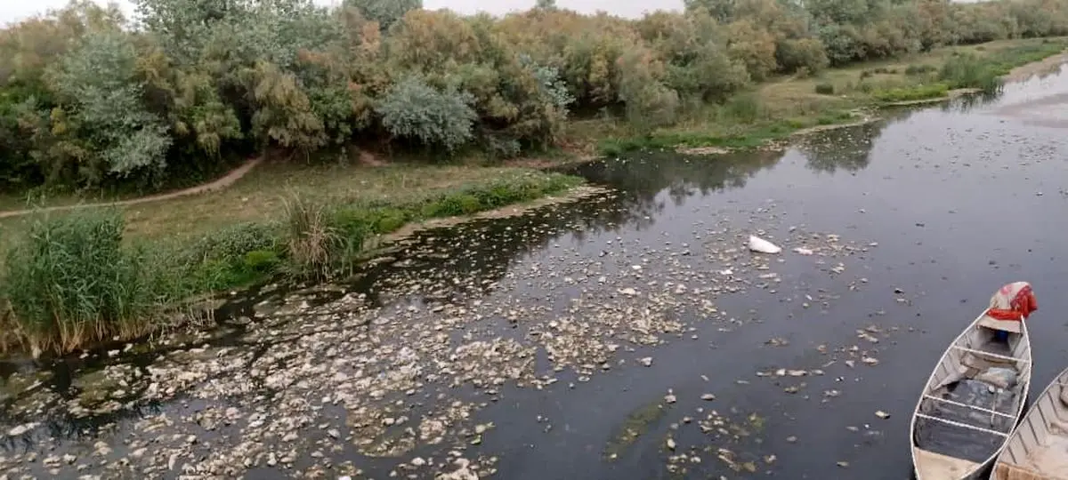 از نماد شادابی تا تهدید بهداشت؛ سرنوشت تلخ رودخانه دز در شهر حُر از توابع شوش