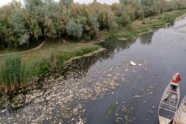 از نماد شادابی تا تهدید بهداشت؛ سرنوشت تلخ رودخانه دز در شهر حُر از توابع شوش