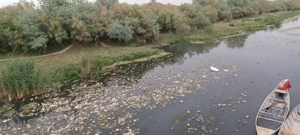 از نماد شادابی تا تهدید بهداشت؛ سرنوشت تلخ رودخانه دز در شهر حُر از توابع شوش