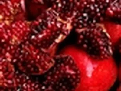 یلدا در اشعار فارسی