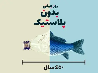 asdasd