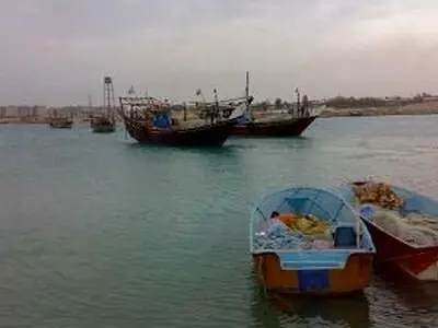 هشدار نسبت به وضعیت نامناسب اکوسیستم خلیج فارس و دریای عمان/ لزوم اصلاح برخی قوانین توسط مجلس