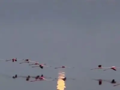 طلوع اولین ماه کامل ۱۴۰۴ از زاویۀ دریاچۀ نمک مهارلو + فیلم